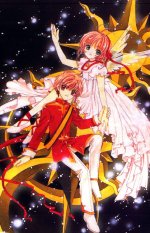ccs_010.jpg
