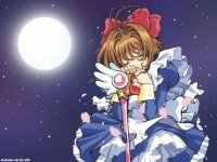ccs_10_800.jpg
