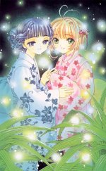 ccs_013.jpg