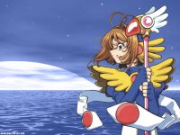 ccs_13_800.jpg