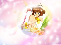 ccs_20_800.jpg