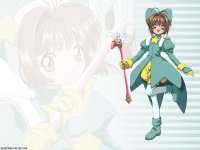 ccs_21_800.jpg