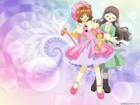 ccs_22_800.jpg