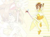 ccs_23_800.jpg