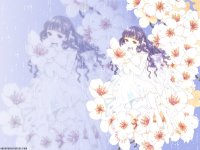 ccs_30_800.jpg