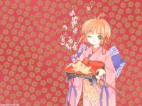ccs_33_800.jpg