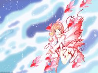 ccs_34_800.jpg