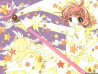 ccs_37_800.jpg