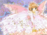 ccs_38_800.jpg