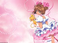 ccs_40_800.jpg