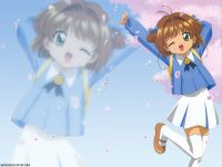 ccs_42_800.jpg