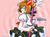 ccs_46_800.jpg