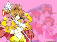 ccs_49_800.jpg