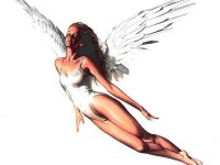 Angels 029.jpg