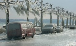 Just a little cold.jpg