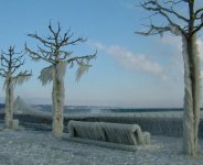 just a little cold 2.jpg