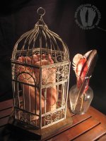 cage_IMG_4489.jpg