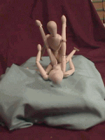 sexualpositions_1893_4248739.gif