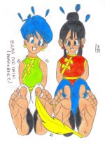 Chichi_Bulma.jpg