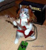 guitarkitty.jpg