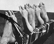 bound129.jpg