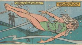 Dolphin_Ref1.jpg