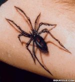spider tatoo.jpg