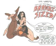 Brandisized-panel01.jpg