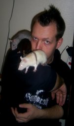 Cavum & rats.jpg