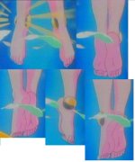 corrector harunafeet3.jpg