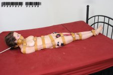 inbed-vib01.jpg