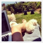 Jennie-Garth-Feet-1015187.jpg