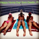 hump_day_good_day_65_photos36.jpg