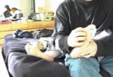 th_tisha.gif