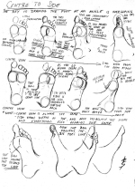 Foot - to side.png