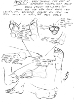Foot - angles.png