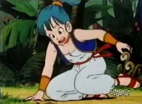 bulma6.jpg