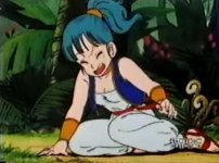 bulma7.jpg