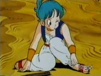 bulma11.jpg