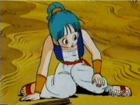 bulma12.jpg