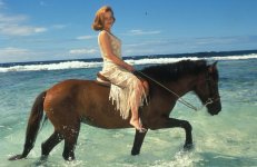 gillianandersonhorse.jpg