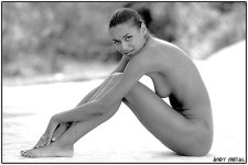 Andy_Metal__model10_pool.jpg