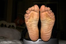 IMG_6222.jpg IMG_6222.jpg