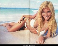 Torrie_Wilson-30.jpg