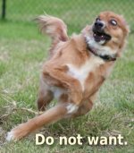 Do not want.jpg