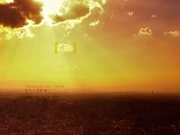 [adult swim] CLOUD800.jpg