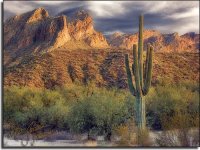 Arizona.jpg