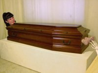 Pauley Perrete tickled.jpg