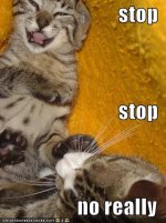 stopstopnorea128391984041718750.jpg