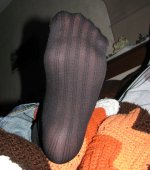 Socks0330.JPG